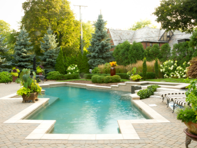Modern geometric custom pool design in Texas backyard